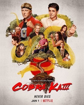 Xem phim Võ Đường Cobra Kai (Phần 3)